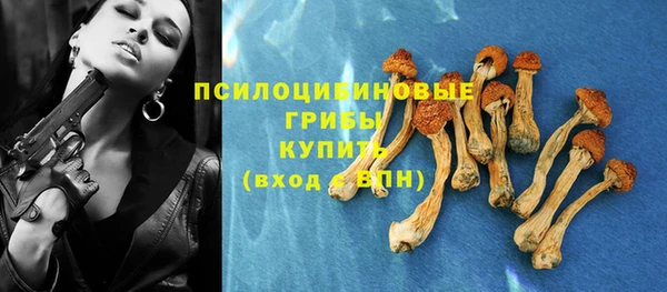 МДМА Заводоуковск